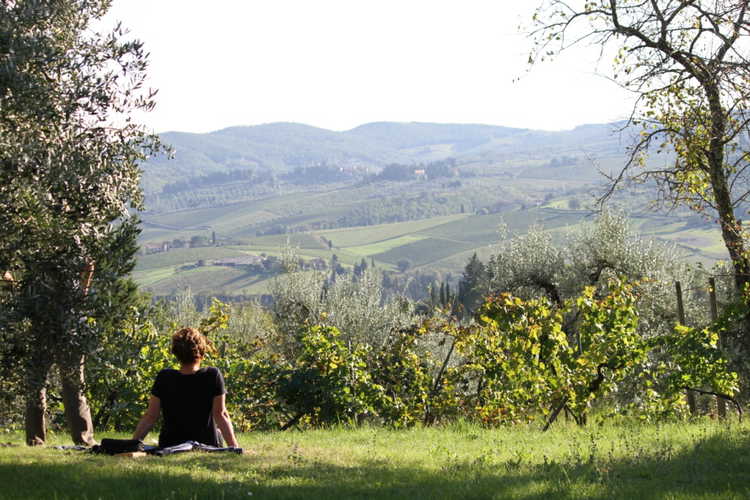 Ancora del Chianti B&B: Absolute tranquility and serenity