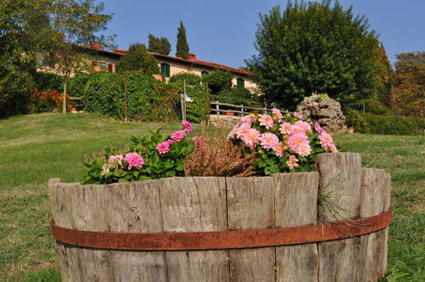 Il parco che circonda l'agriturismo