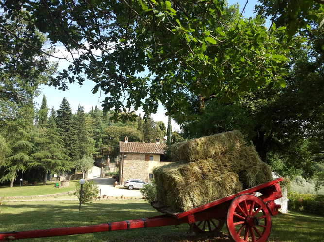 Poggio del Drago: autentico agriturismo toscano