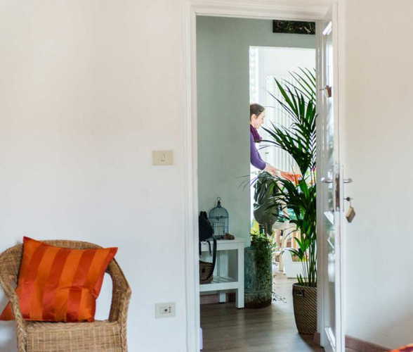 Green plants lend their energy to revitalizing the body after a tour