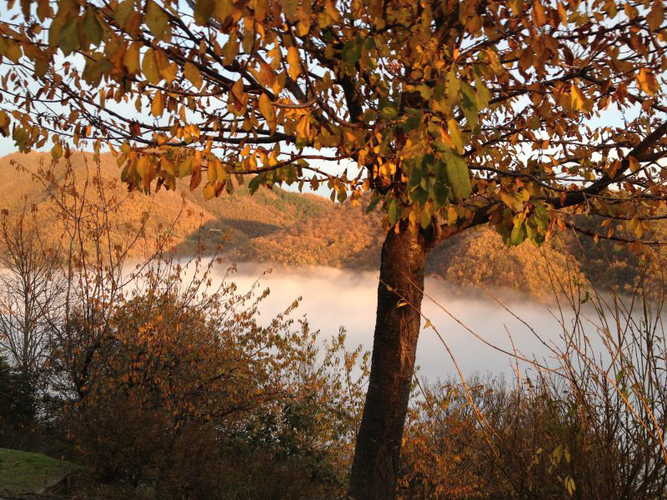 Mystic views will capture your attention at B&B Mugello