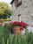 BelSentiero Estate & Country House: colors and fragrances in the gardens