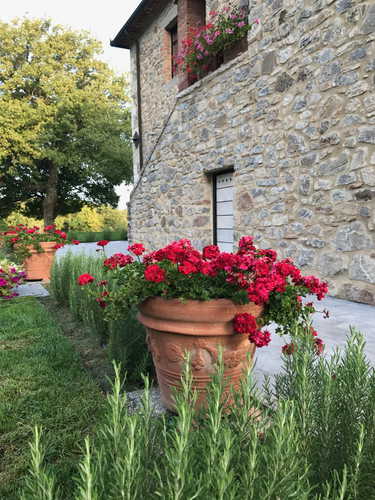 BelSentiero Estate & Country House: colors and fragrances in the gardens