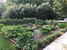BelSentiero Estate & Country House: Herb gardens for a lovely walk