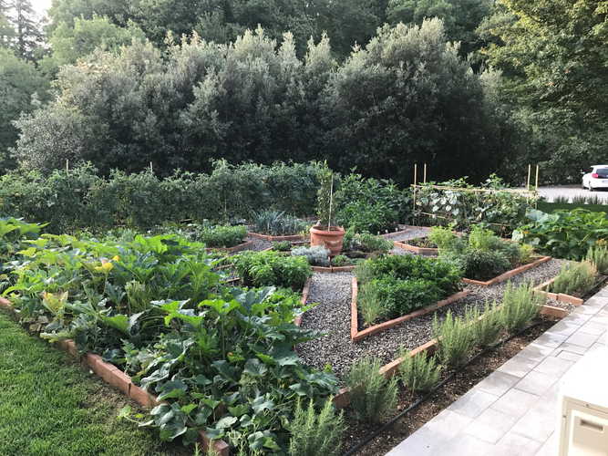 BelSentiero Estate & Country House: Herb gardens for a lovely walk