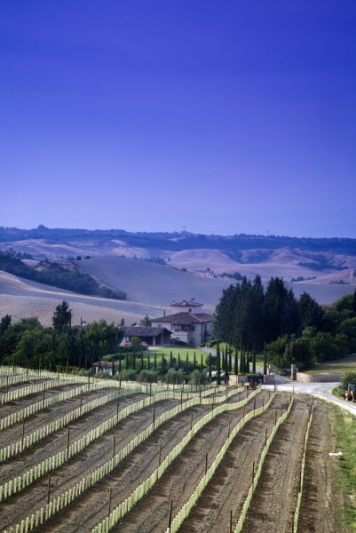Estate panorama