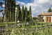 Garden around the apartments and rooms