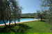 La piscina circondata dal verde della campagna del Chianti e dagli olivi sotto i quali godere di un pÃ² d'ombra