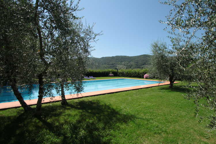 La piscina circondata dal verde della campagna del Chianti e dagli olivi sotto i quali godere di un pÃ² d'ombra