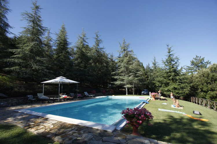 The lovely swimming pool