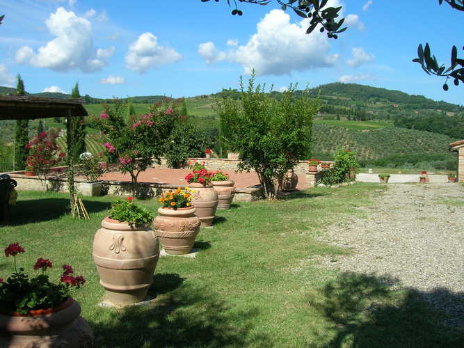 Agriturismo Casa dei Girasoli - Le verdi distese che circondano l'agriturismo, una piacevole alternanza di vigneti, oliveti e girasoli
