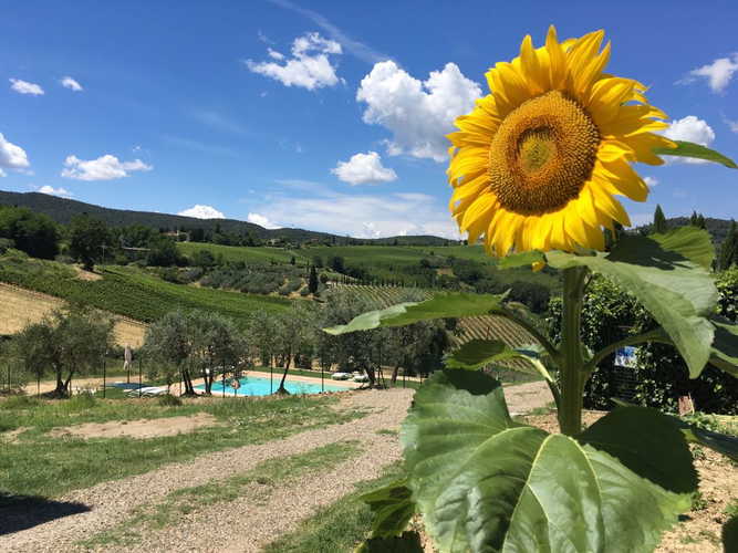 Agriturismo Casa dei Girasoli, immerso in un paesaggio dominato dai colori e dai profumi dei girasoli