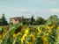 Agriturismo Casa dei Girasoli - Circondato dai girasoli