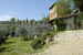 Agriturismo Casa Mezzuola - Olivi