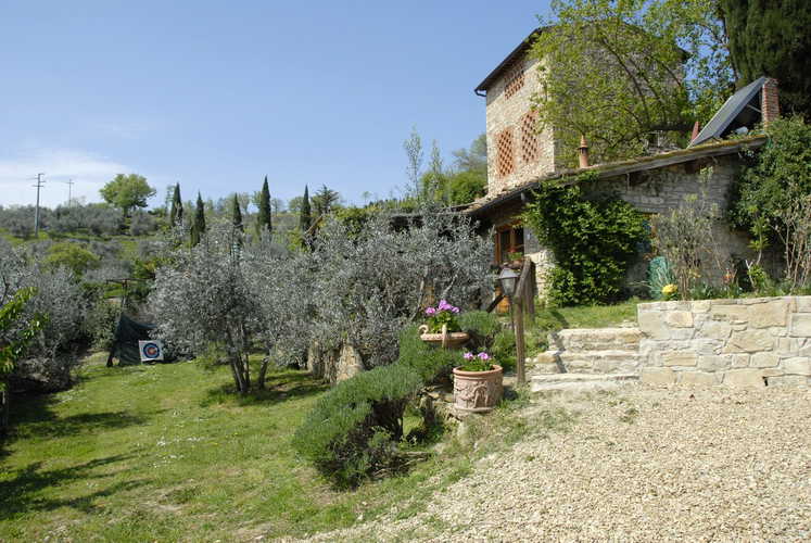 Agriturismo Casa Mezzuola - Olivi