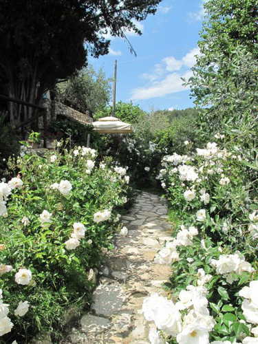 Respirare i profumi del Chianti: come un sogno ad occhi aperti