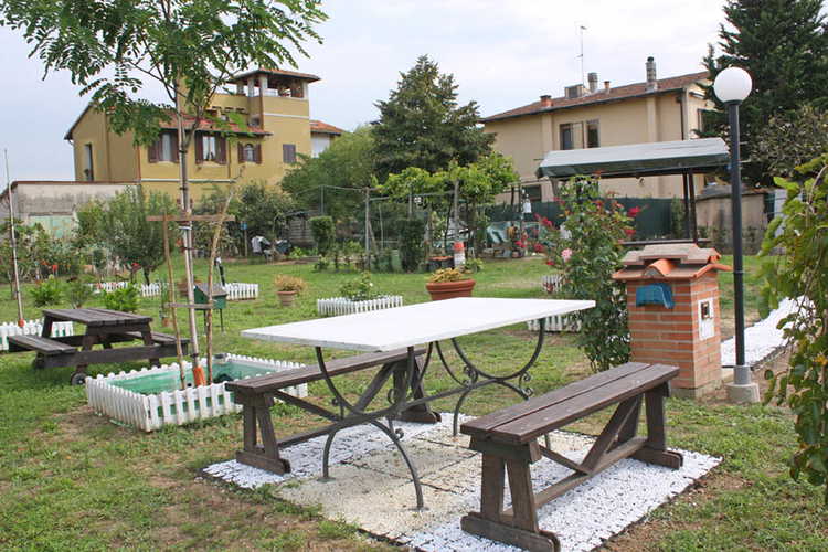 The garden 