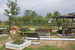 The lovely garden outside the b&b