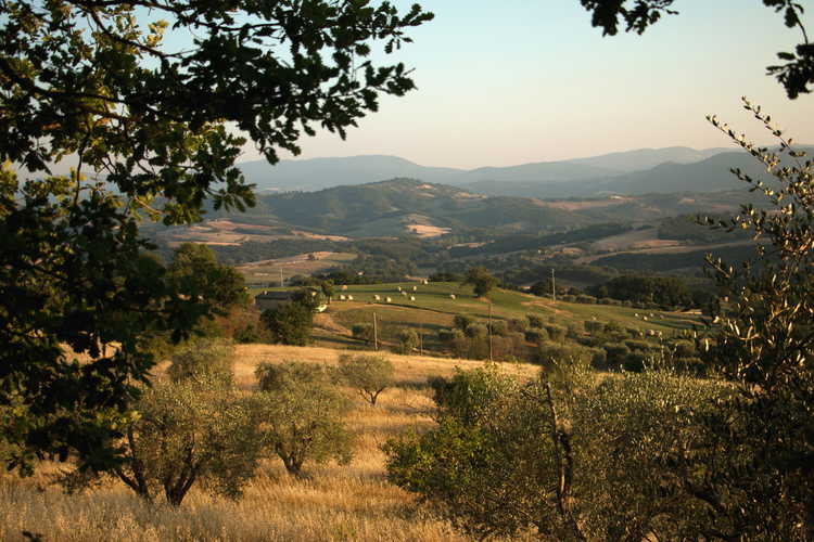 Casa Podere Monti - Accogliente atmosfera