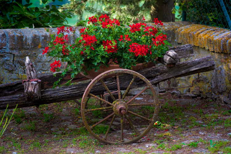 Casa Podere Monti - Villa privata