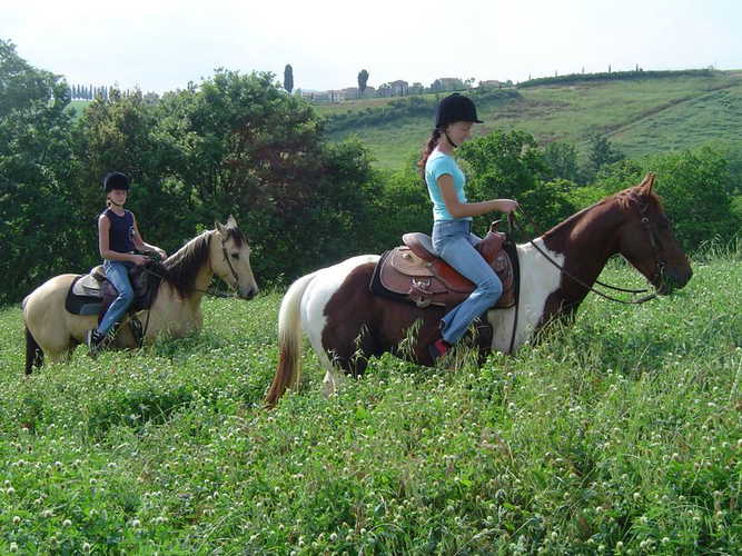 Gita a Cavallo Castellare di Tonda Montaione