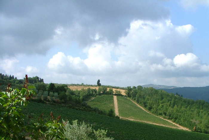 Soggiorno all'insegna del relax e della tranquillitÃ  vicino a Greve