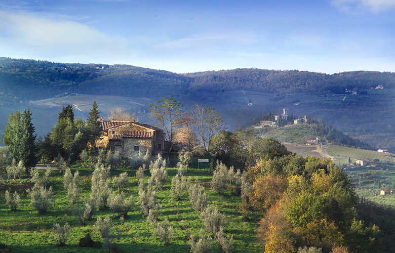Immersi nel tipico paesaggio del Chianti, tra oliveti e vigneti