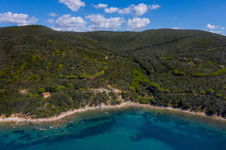 The beach with the clear water of the Tuscan coastline
