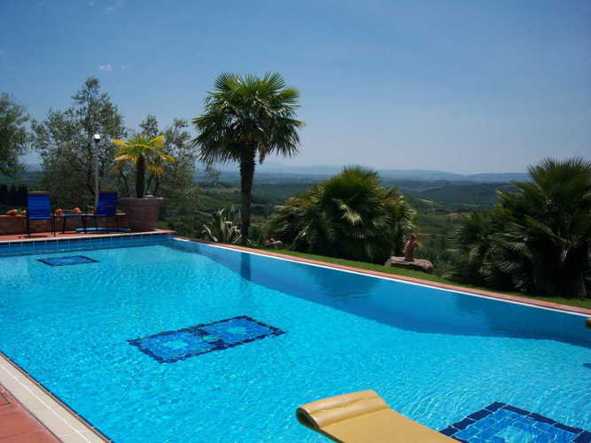 Dalla piscina, meravigliose vedute sui vigneti dell'azienda vinicola