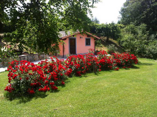 Family Suite bilocale, immersa nel profumo delle rose rosse
