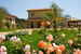 Country Resort Guadalupe - Garden in Bloom