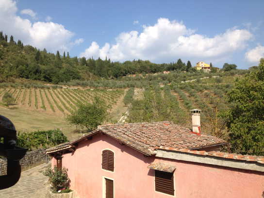 Fattoria dell'Orto degli Ulivi