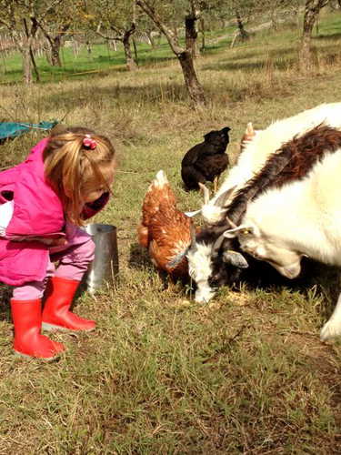 Our fun animals with the youngest of the family