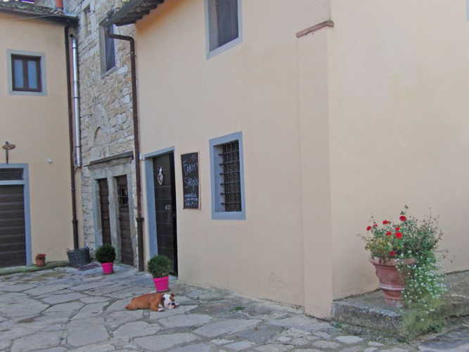 The shop at the farm