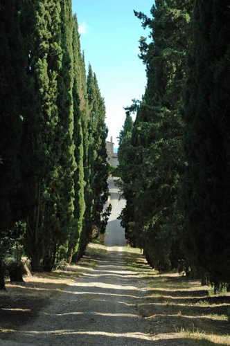 Arriving at Fattoria di Catignano in Chianti