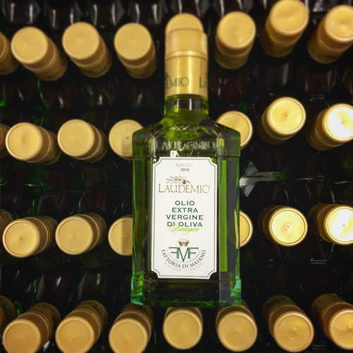 Fattoria di Maiano: try their extra virgin olive oil production