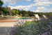 Fattoria di Maiano: pool is surrounded by the fragrances of Tuscany