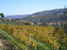 fattoria-di-poggiopiano-fiesole_15