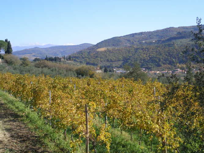 fattoria-di-poggiopiano-fiesole_15