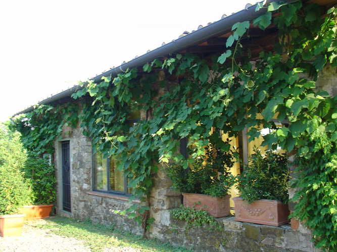 fattoria-di-poggiopiano-fiesole_12