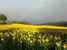 Beautiful Tuscany landscapes are visible from every corner