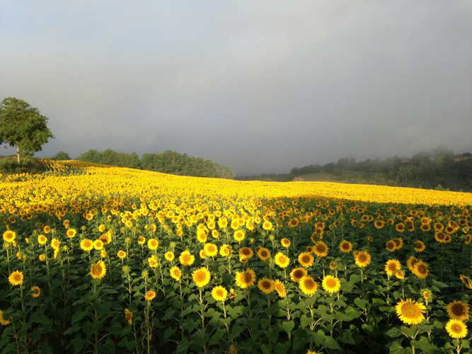 Beautiful Tuscany landscapes are visible from every corner