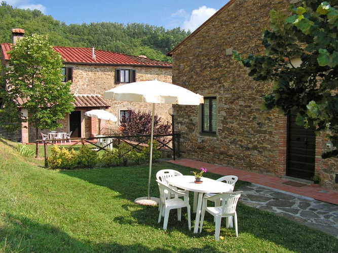 The garden