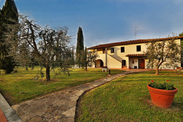 Fattoria Pagnana: Olive trees in the garden