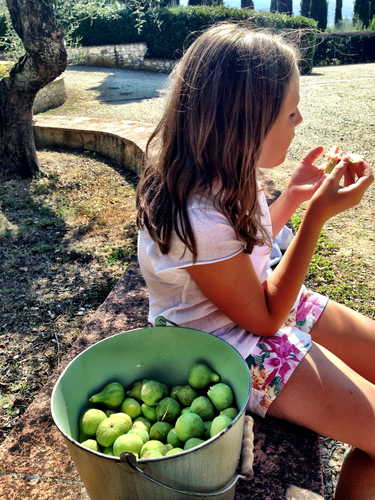 Fattoria Pagnana: Fresh fruit and the real Tuscany