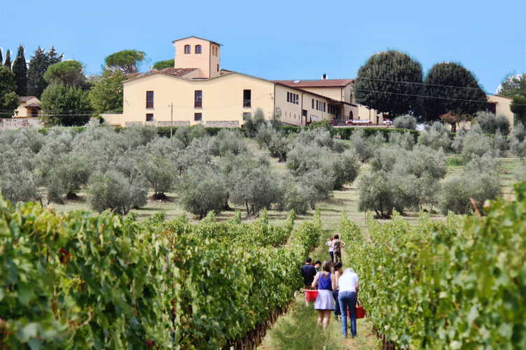      Fattoria Pagnana: vacation on a vineyard