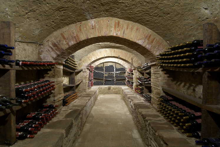 Terre del Bruno, l'ottimo vino prodotto in azienda e conservato nell'antica cantina in pietra della Fattoria Pogni
