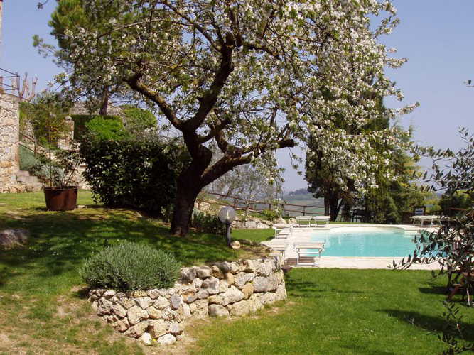 The lovely swimming pool