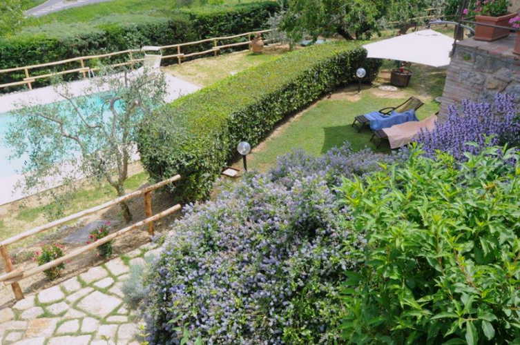 The pool surrounded by the flowers and herbs