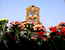 hotel-perseo-florence_14